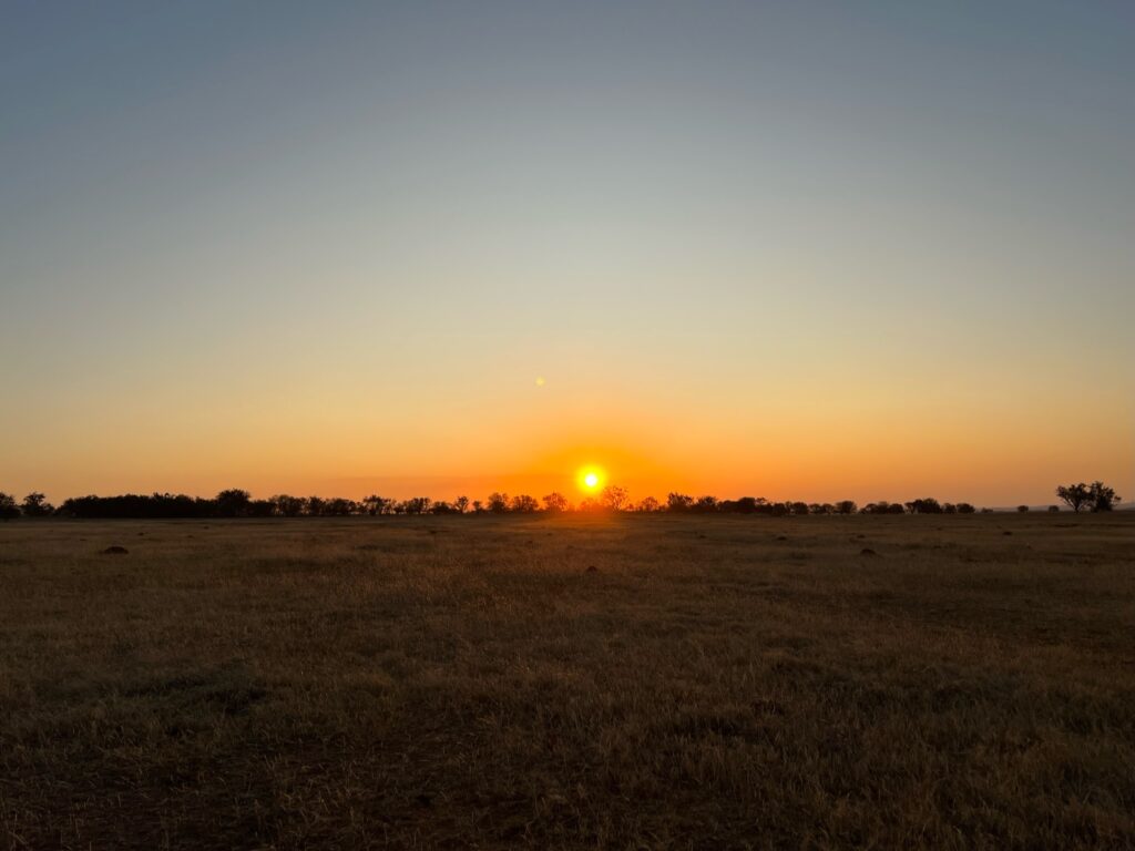 Stunning South African sunset over the savanna with vibrant orange and golden skies – captured during a Mediate Expeditions safari adventure.