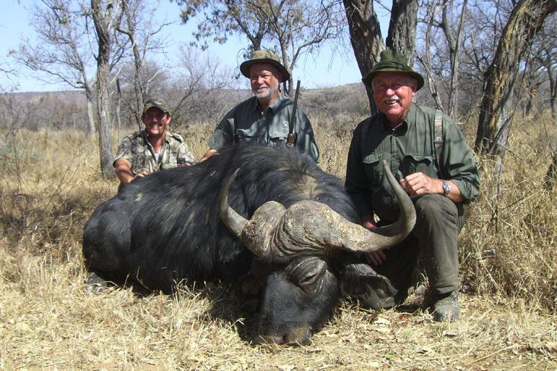 Hunters with trophy Cape Buffalo on a South Africa safari hunt with Mediate Expeditions