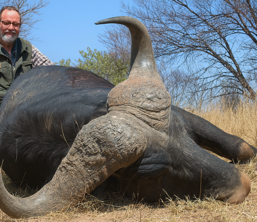 Hunter with Cape Buffalo trophy in South Africa – Mediate Expeditions dangerous game safari