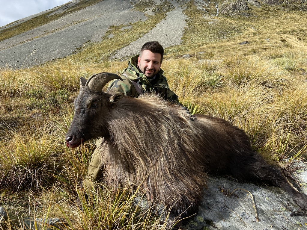 Hunting in New Zealand Thar Mediate Expeditions