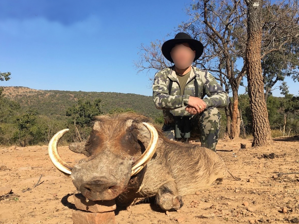 Warthog Mediate Expeditions South Africa